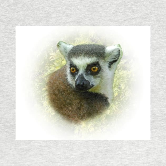 Lemur portrait by Guardi